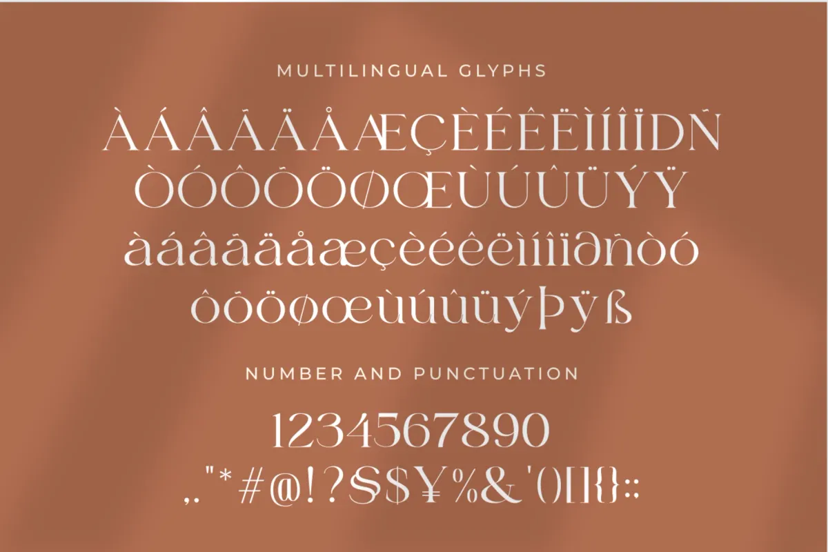 Bilgie - Chic Elegant Font