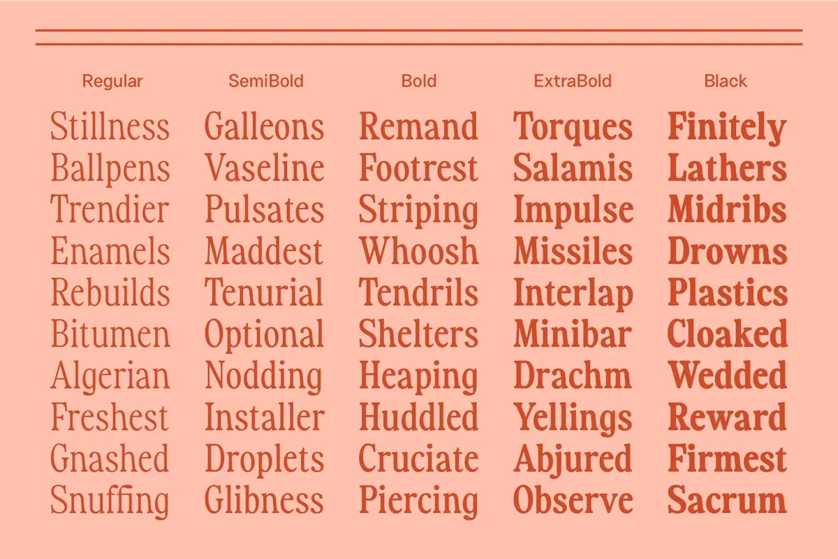 Fiyona - Retro Soft Serif Font Family