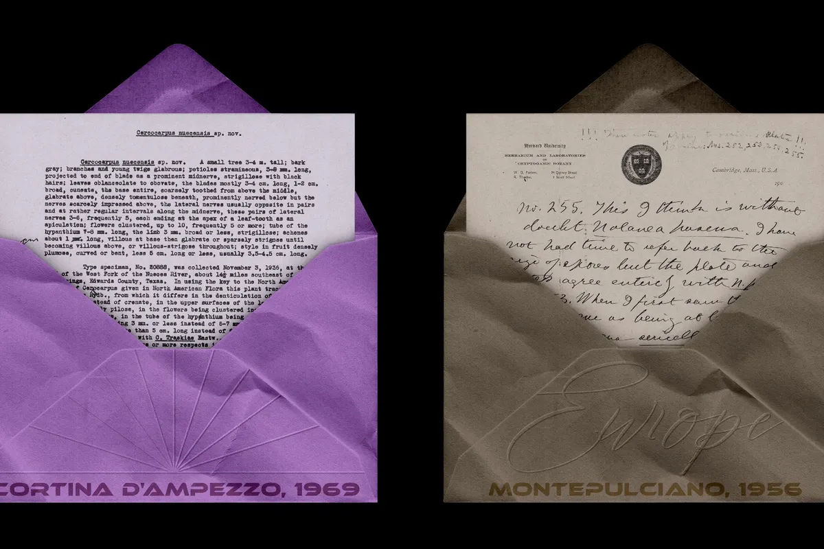 Small Paper Envelope Mockup