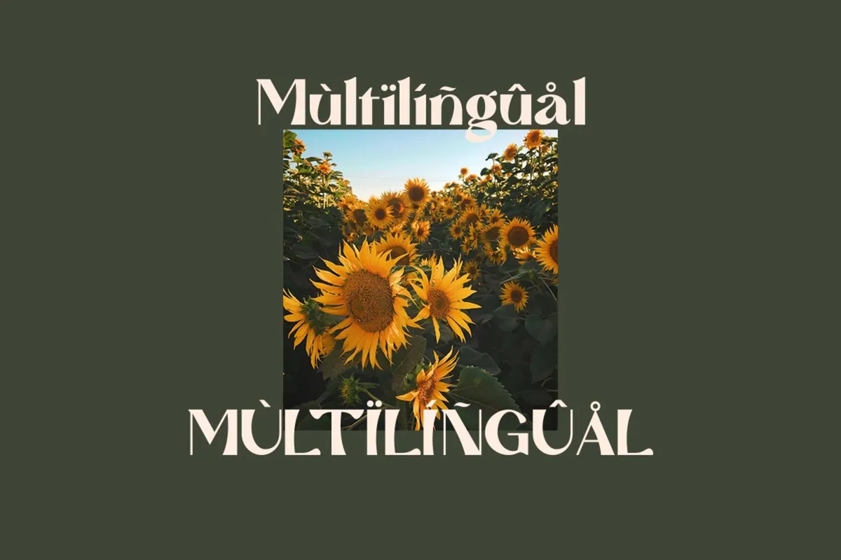 Mattire - Modern Serif Typeface
