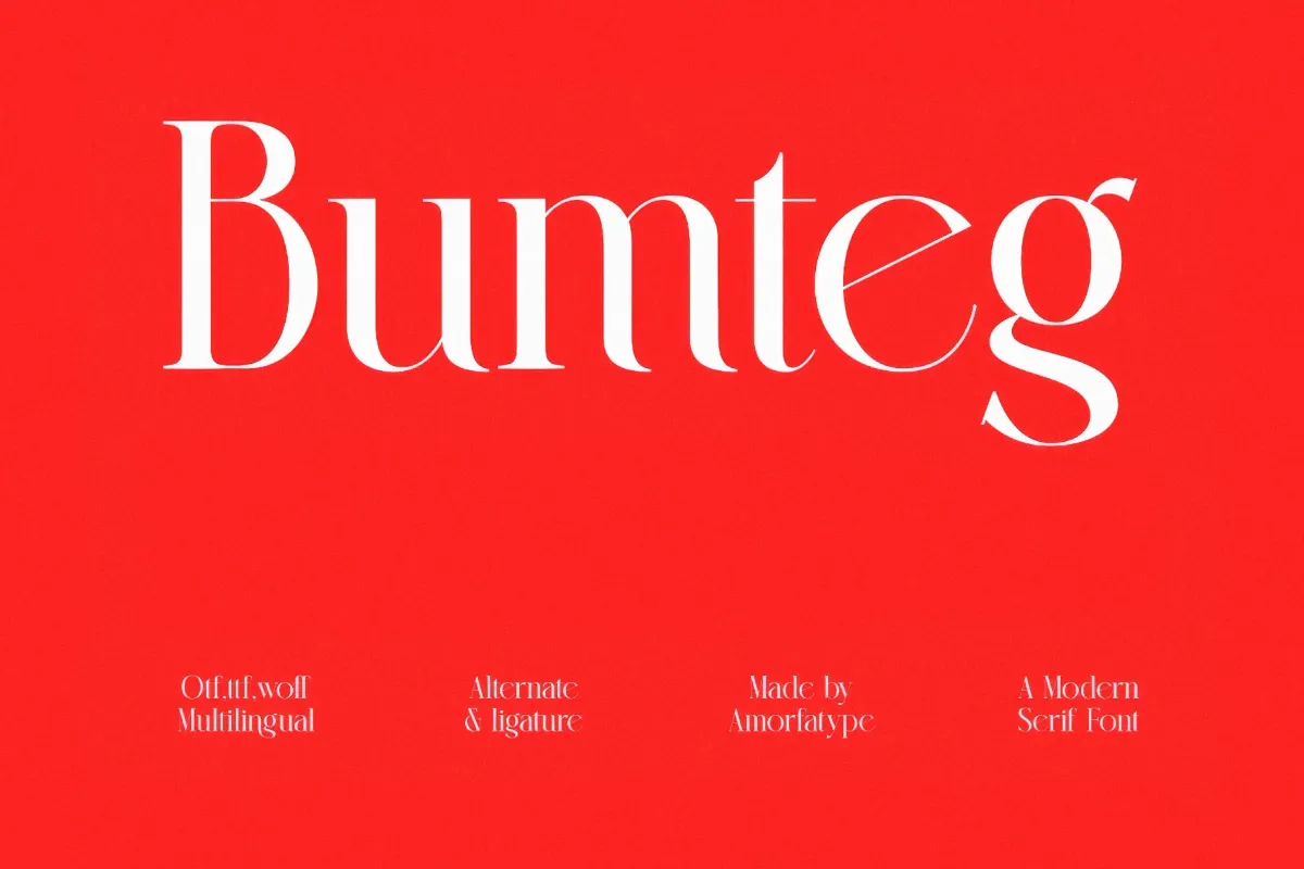 Bumteg - Modern Serif Display Font