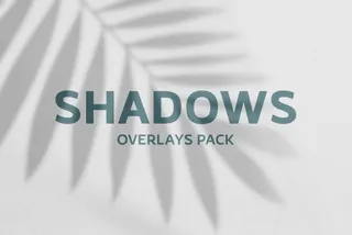 Leaves Shadows Overlay Pack