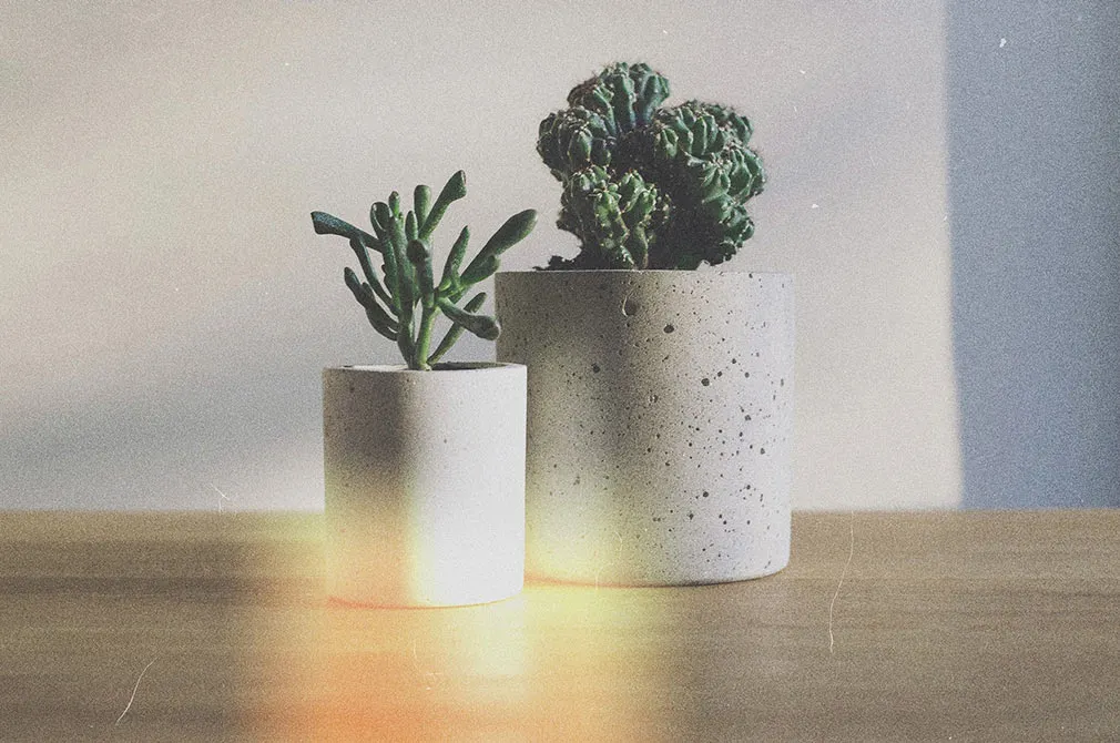 Light Leaks Overlays Collection