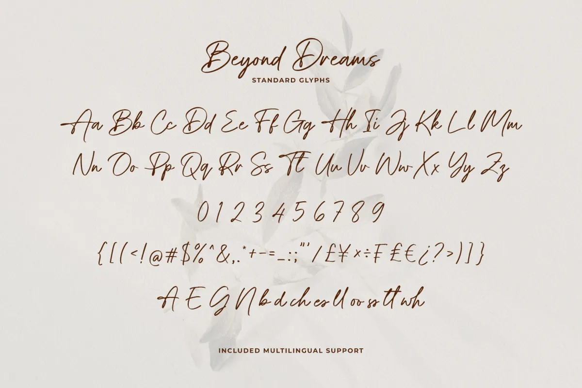 Beyond Dreams - Signature Script Font