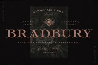 Bradbury — Display Serif