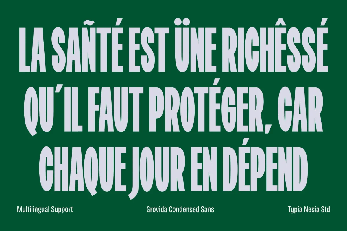 Grovida - Bold Retro Condensed Sans Font