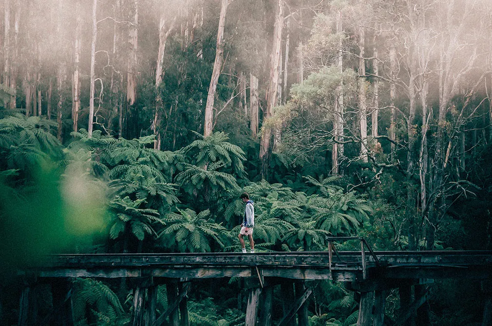 Outdoor Lightroom Presets