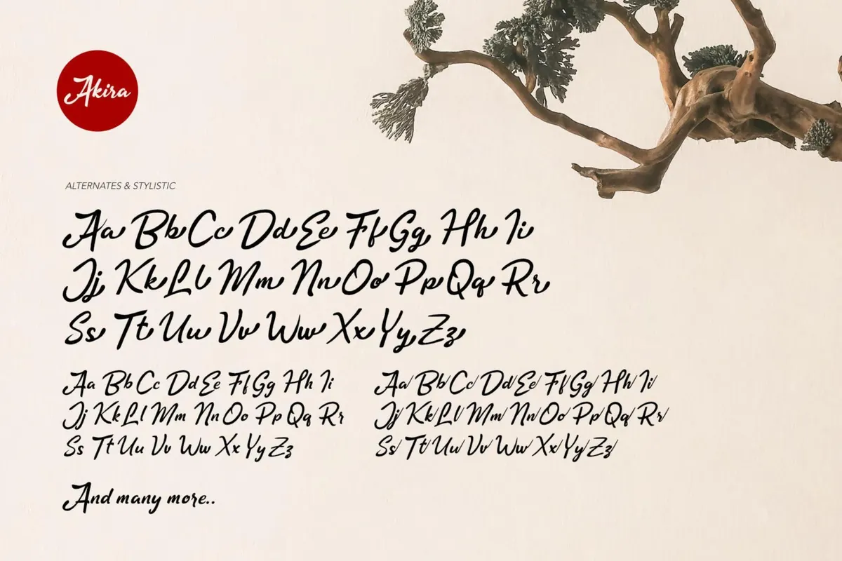 Akira - Zen Brush Script