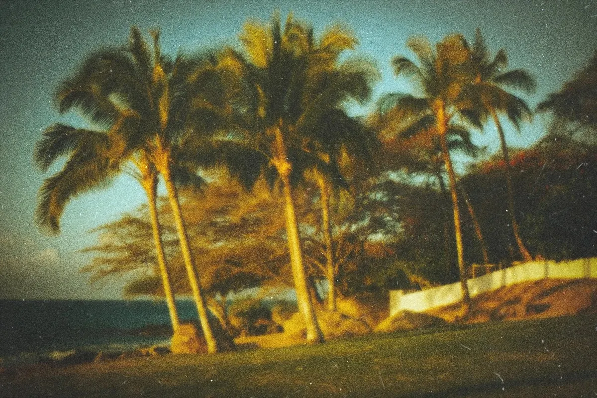 Nostalgic Film Photo Effect
