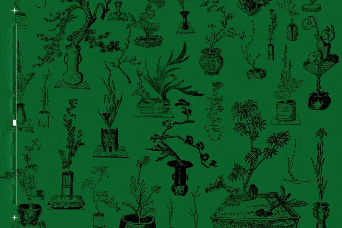 Ikebana Botanical Illustrations Set