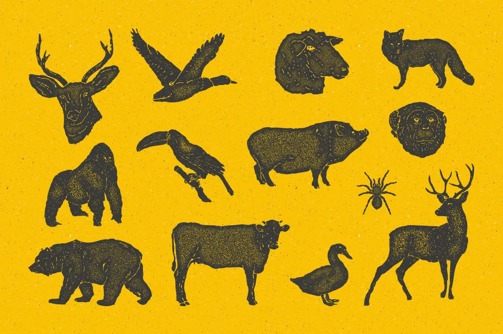 Animals Vintage Illustrations Set
