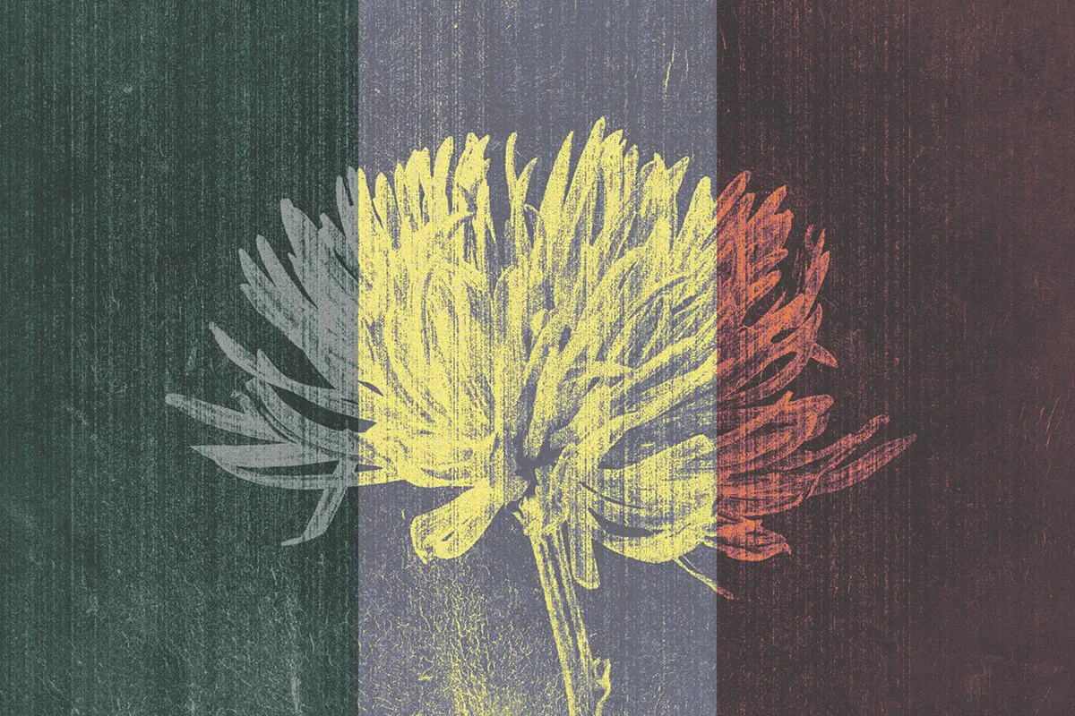Vintage Album Photo Effects
