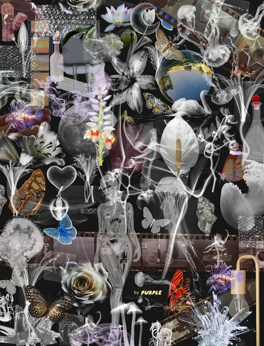 TRANSPARENCY — Collage Pack