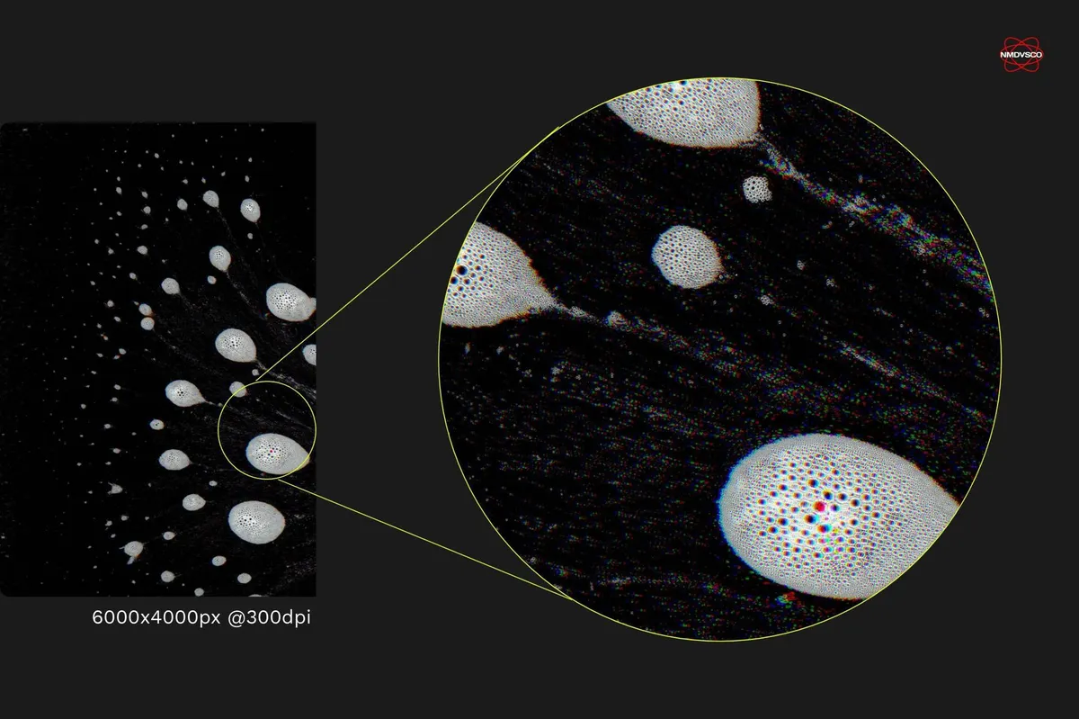 Foamy Scanner Textures