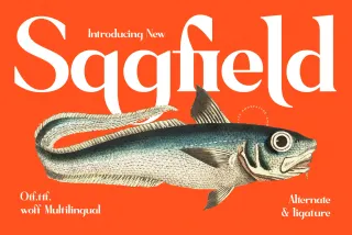 Sagfield - High-Contrast Display Serif Font
