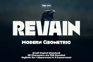 Revain - Modern Geometric Sans Font