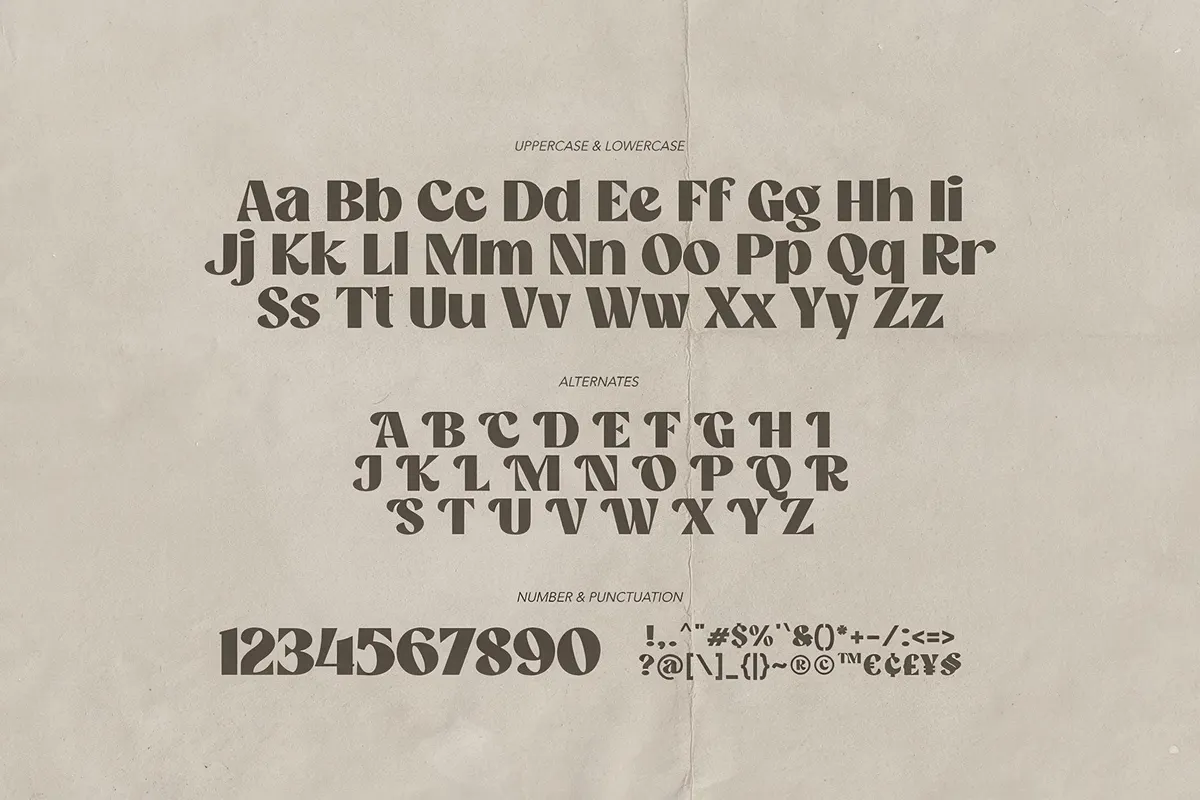 Camera Obscura - Classy Font