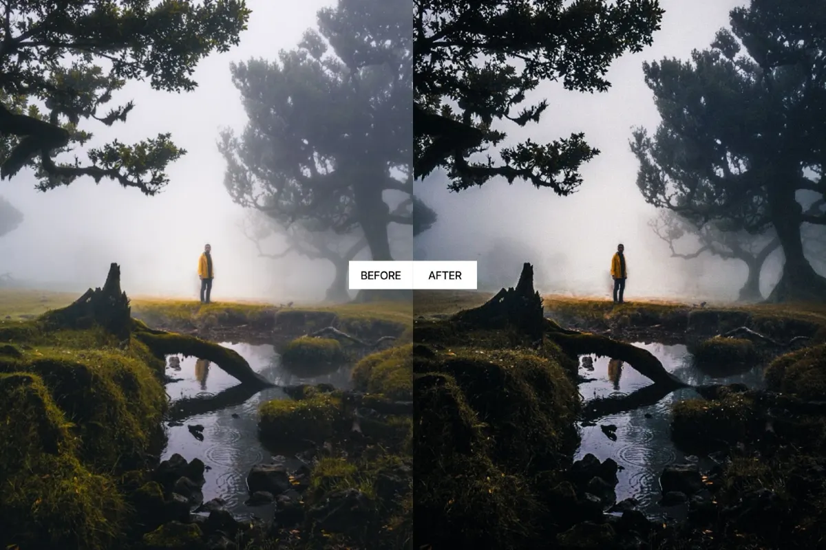 Cinematic Stormy Landscape Lightroom Presets