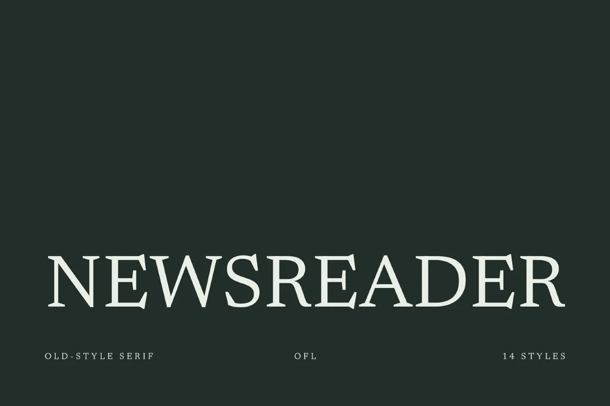 Newsreader - Free Font Family