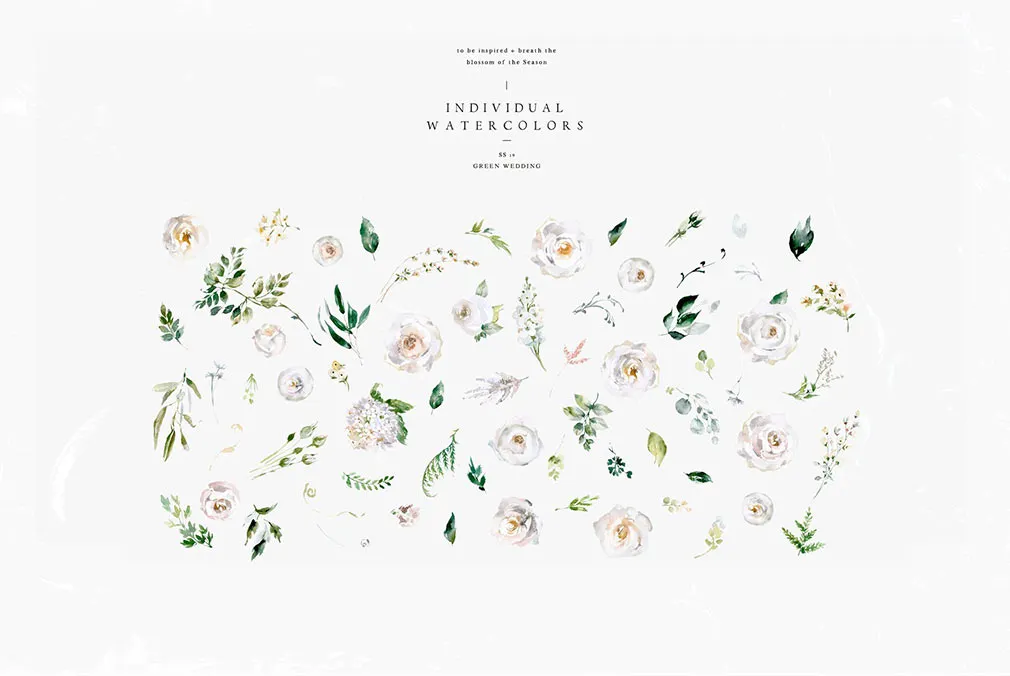 Allegory Watercolors Collection