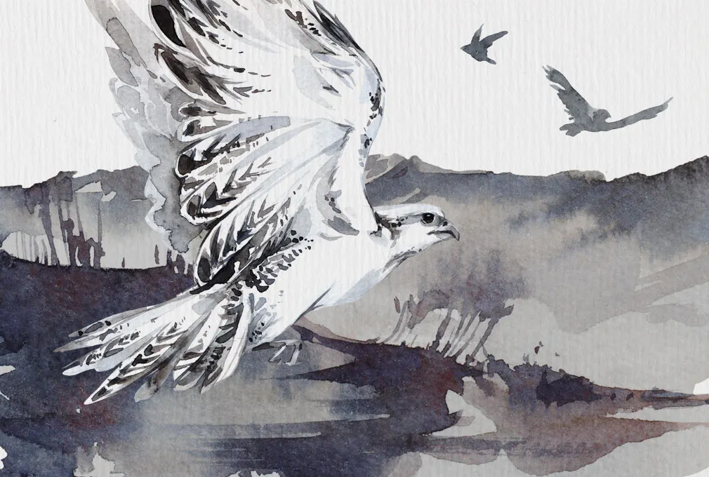 Northern Fields Watercolor Set