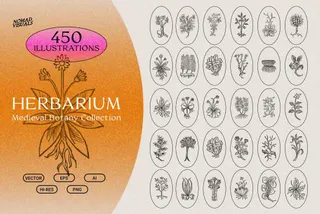 Herbarium Medieval Botany Collection