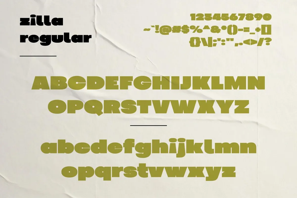 Zilla - Chunky Display