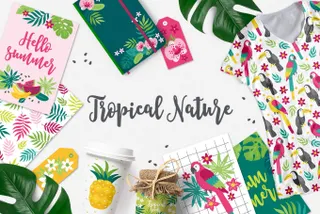 Tropical Nature Vector Graphics