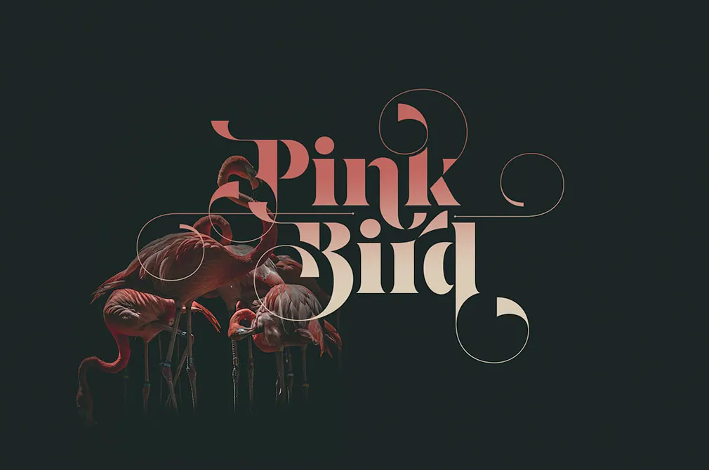 Losta Parka — Decorative Stencil Font Family