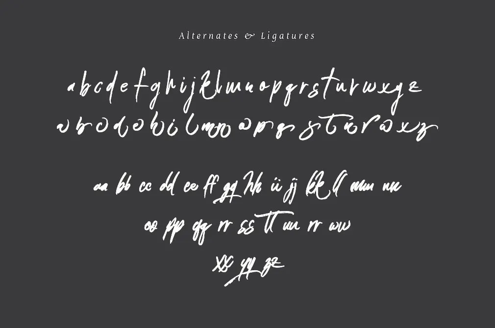 Connoisseurs Typeface