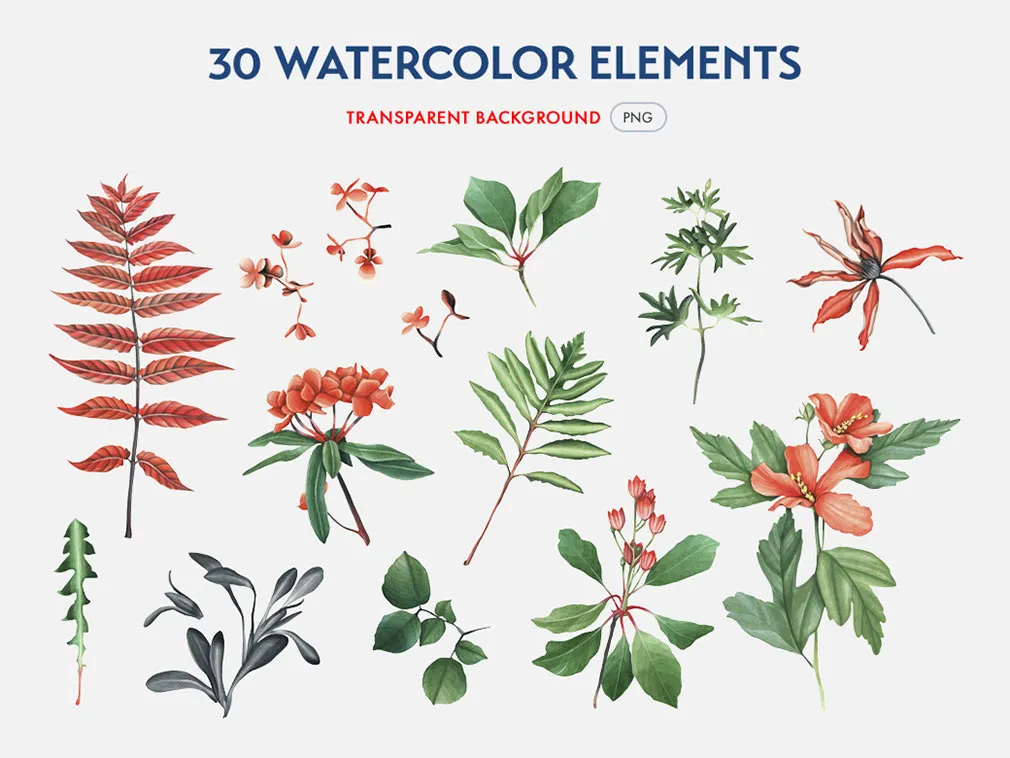Botanical Garden Watercolor Set