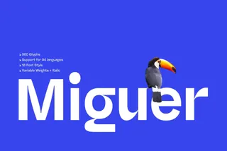 Miguer Sans - High-Contrast Grotesque Font Family