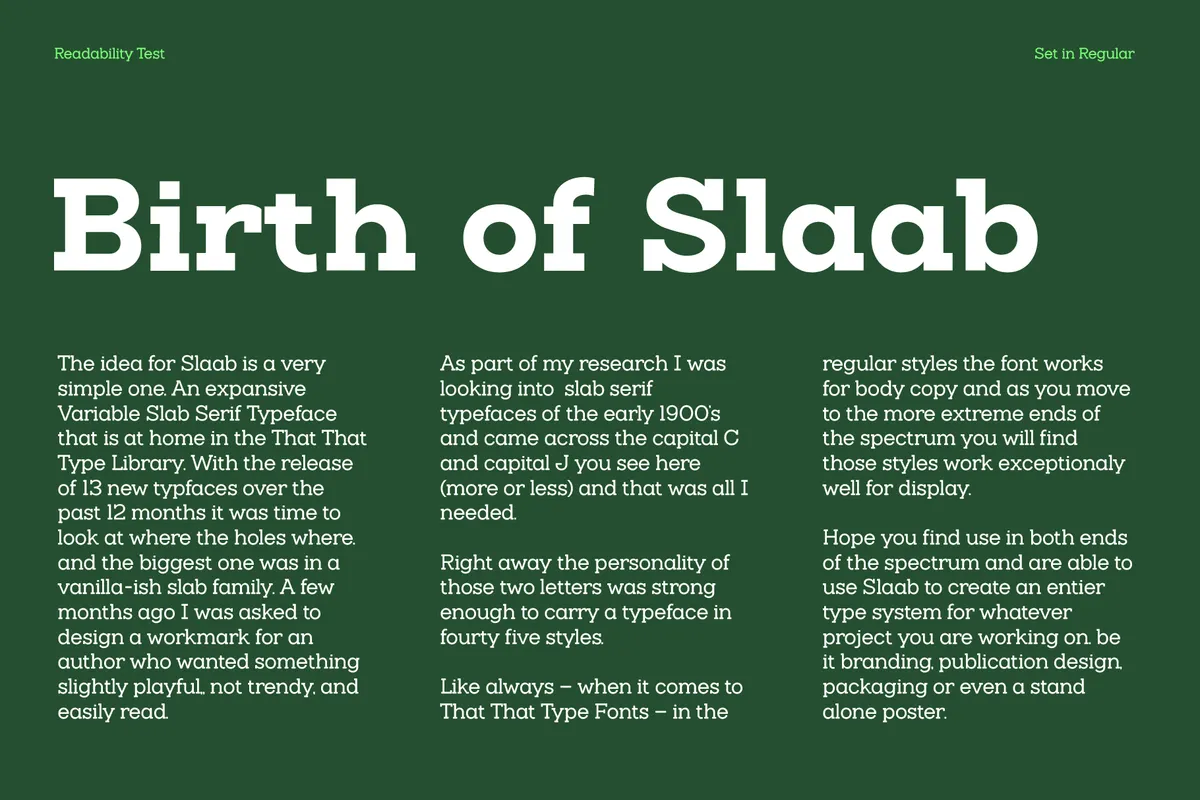 Slaab - Variable Slab Serif Font Family