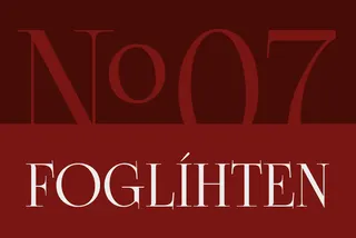 Foglihten №07