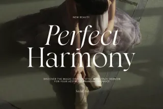 Perfect Harmony - Aesthetic Serif