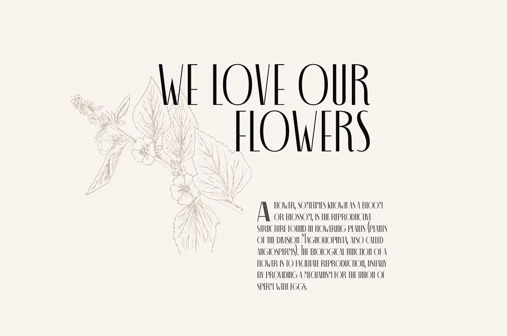 Decohead Display Font