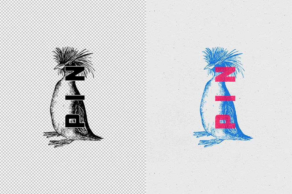Overprint Photo Effect