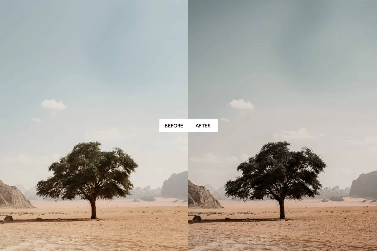 Dark Desaturated Lightroom Presets