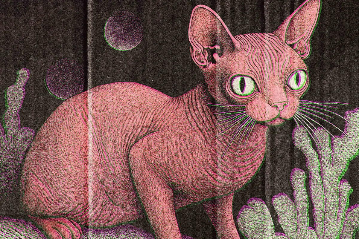 Misprint Effect