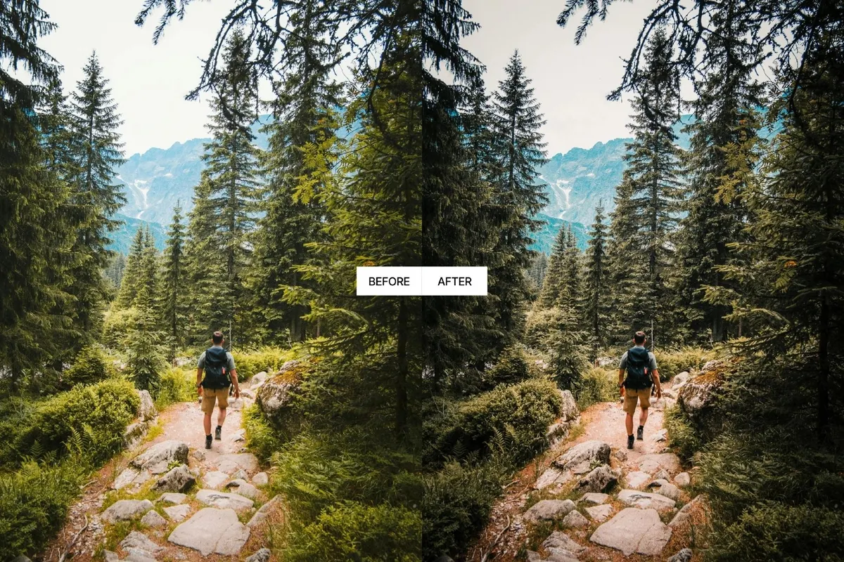 Dark Forest Moody Lightroom Presets