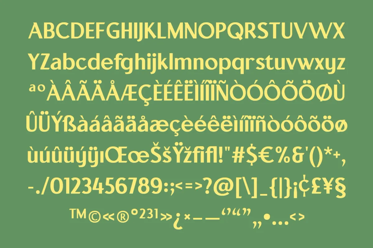 Court Cafe - Geometric Sans Serif Font