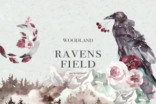 Woodland Ravens Watercolor Kit
