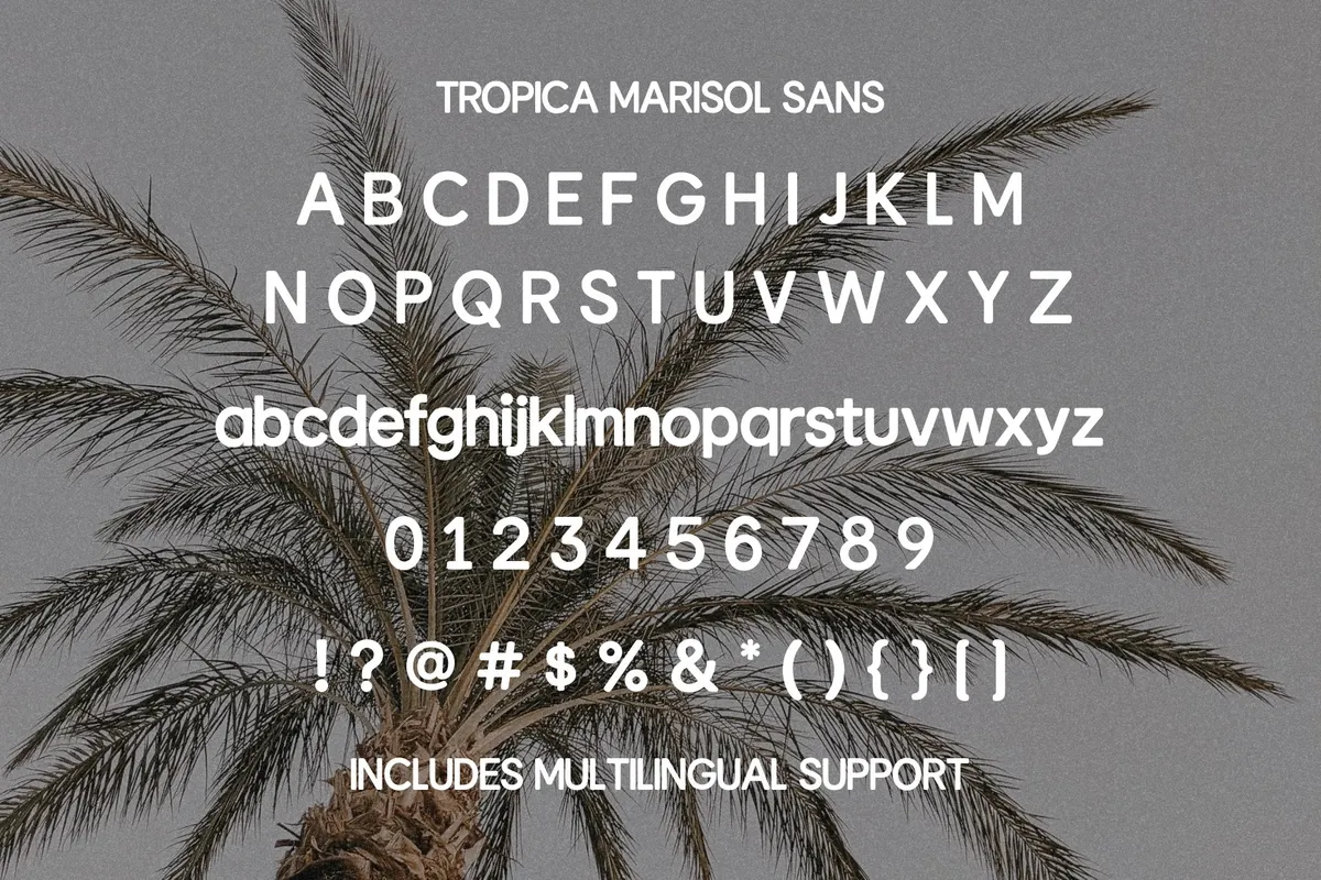 Tropica Marisol – Duo Typeface