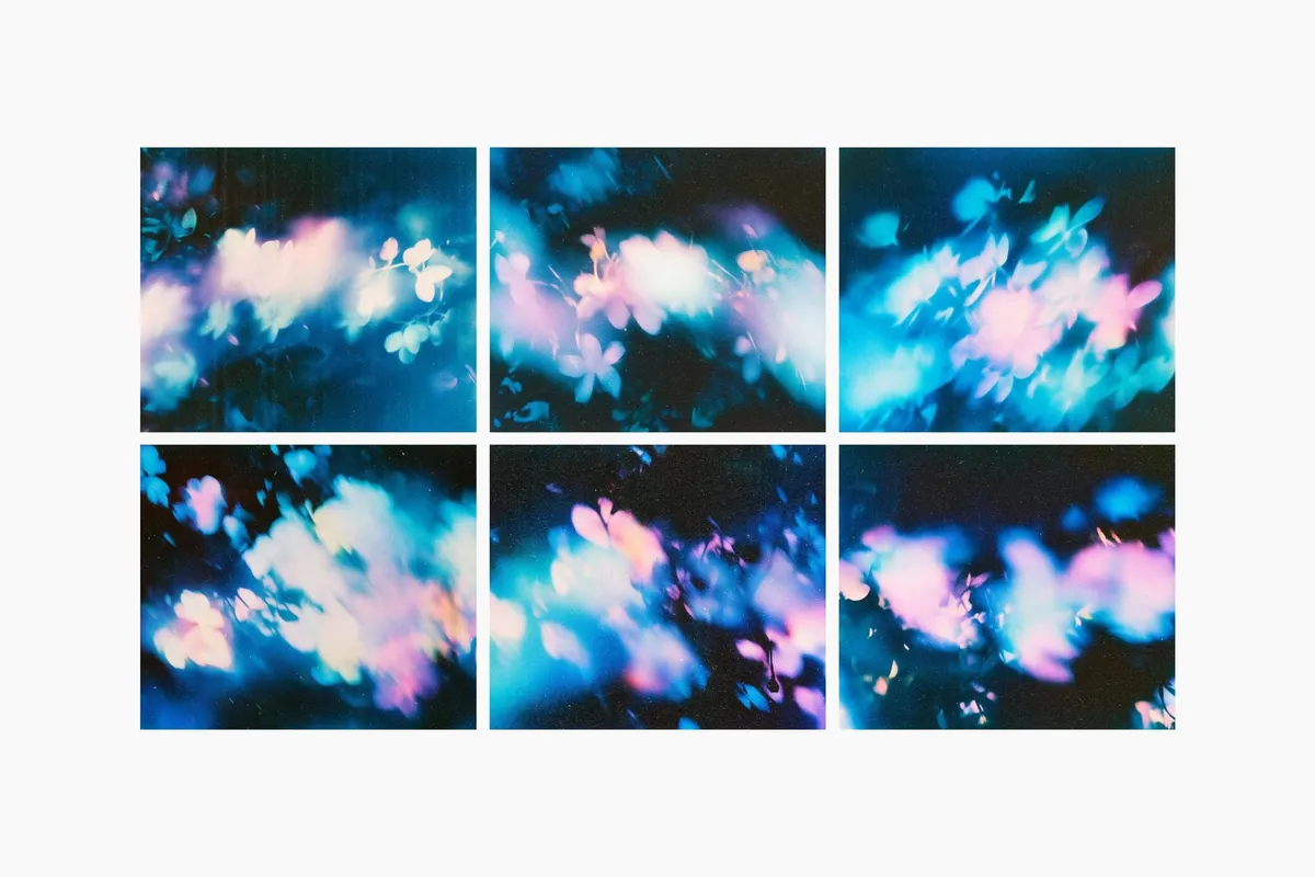 Abstract Floral Backgrounds Pack