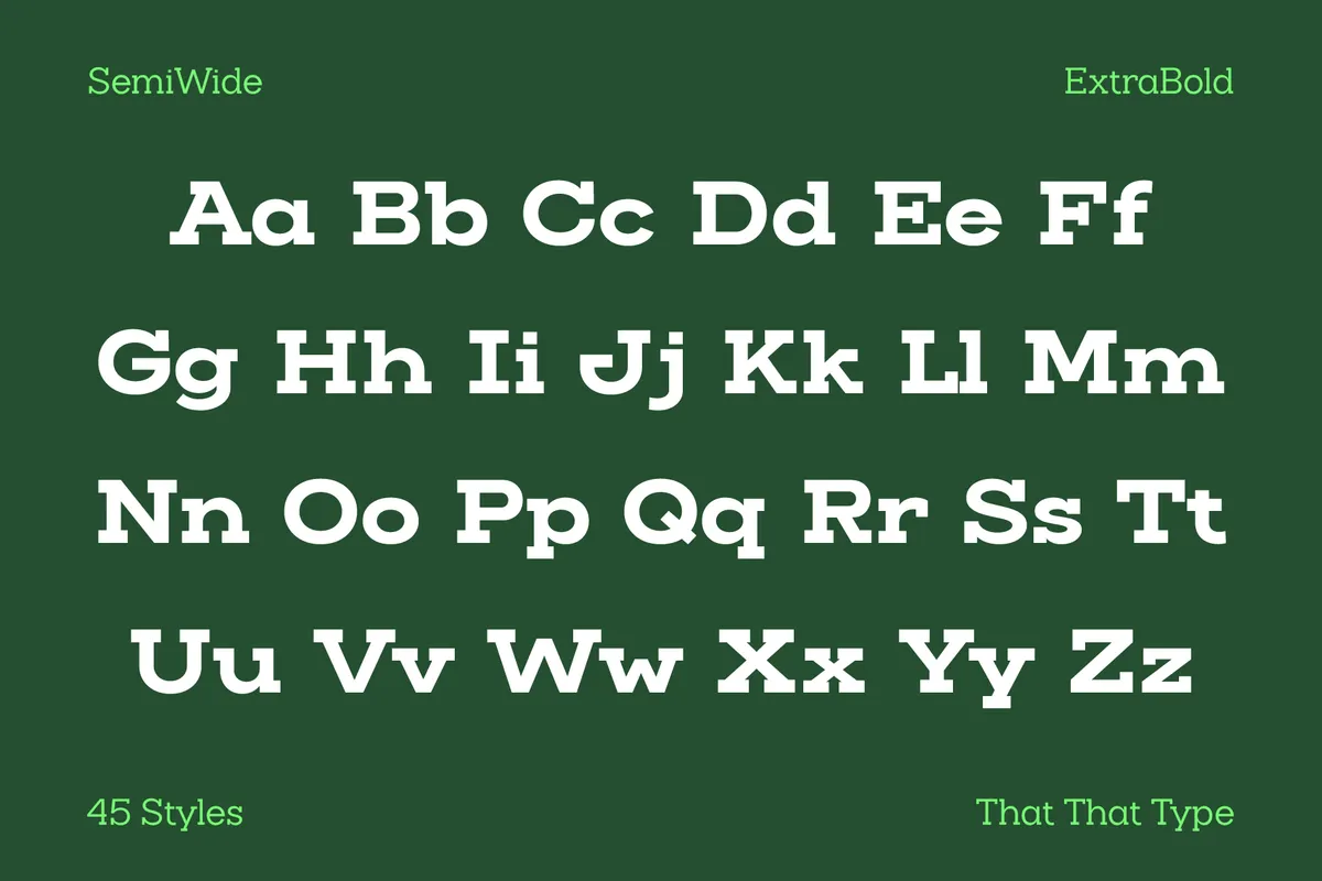 Slaab - Variable Slab Serif Font Family