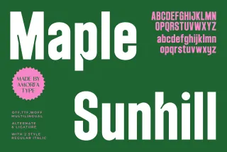 Maple Sunhill - Bold Sans Display Font