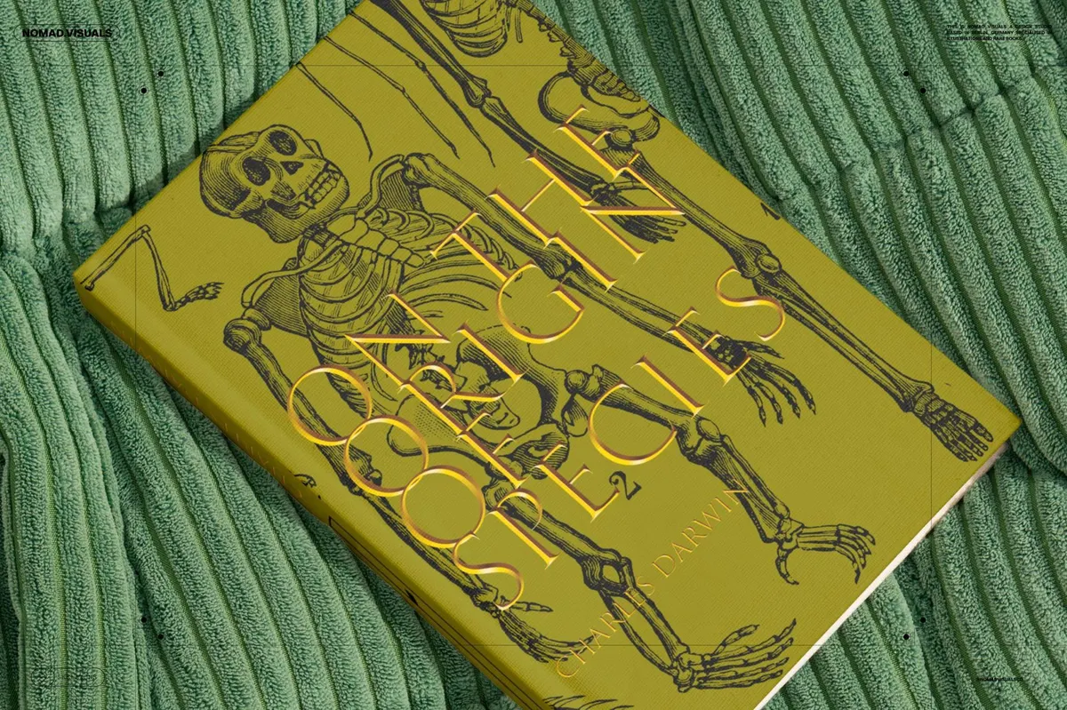 Skeletons & Bones Vector Set