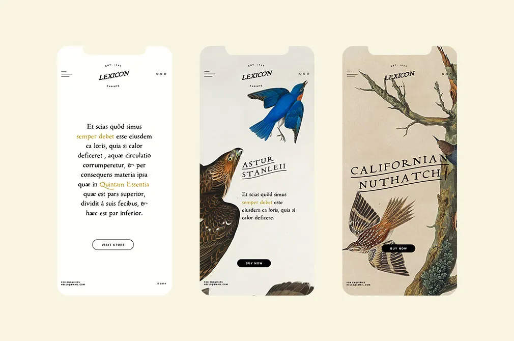 Alchemion Display Serif Font