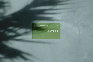 Business Card Mockup with Palm Shadow