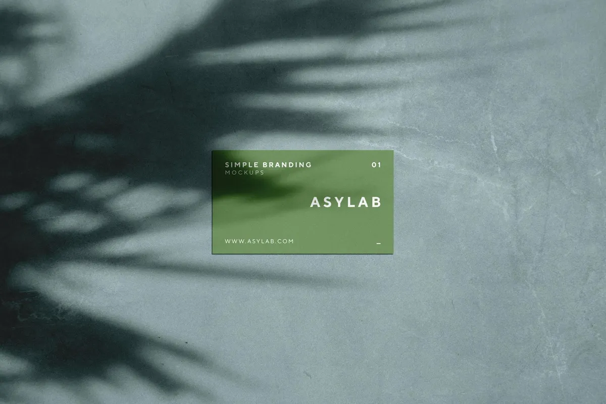 Business Card Mockup with Palm Shadow